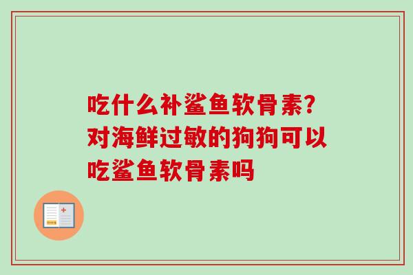 吃什么补鲨鱼软骨素？对海鲜过敏的狗狗可以吃鲨鱼软骨素吗