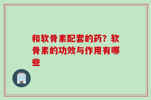 和软骨素配套的药？软骨素的功效与作用有哪些