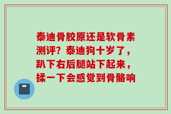 泰迪骨胶原还是软骨素测评?泰迪狗十岁了,趴下右后腿站下起来,揉一下会感觉到骨骼响 泰迪骨胶原还是软骨素测评?泰迪狗十岁了,趴下右后腿站下起来,揉一下会感觉到骨骼响