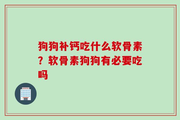 狗狗补钙吃什么软骨素？软骨素狗狗有必要吃吗
