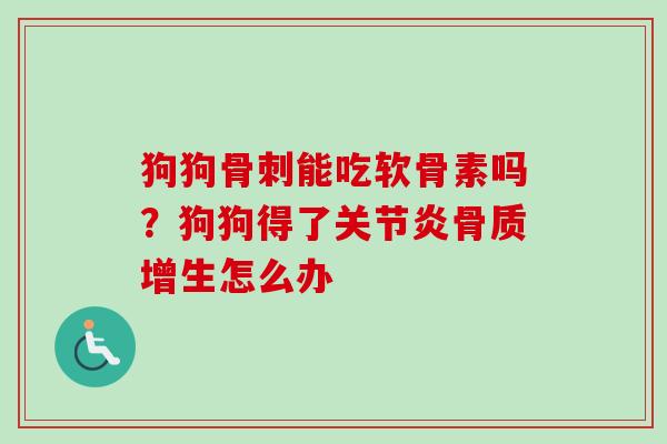 狗狗骨刺能吃软骨素吗？狗狗得了关节炎骨质增生怎么办