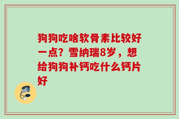 狗狗吃啥软骨素比较好一点？雪纳瑞8岁，想给狗狗补钙吃什么钙片好
