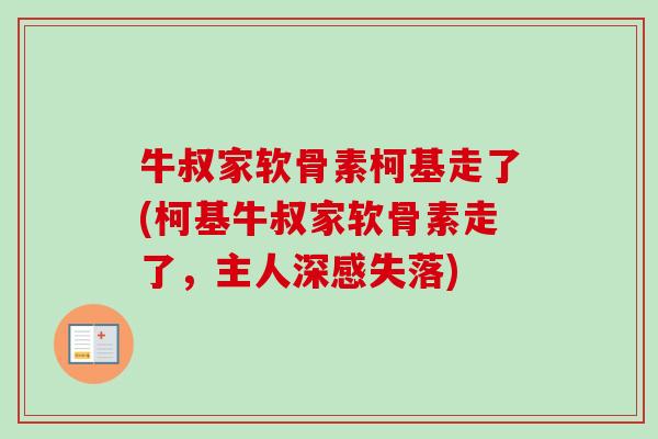 牛叔家软骨素柯基走了(柯基牛叔家软骨素走了，主人深感失落)
