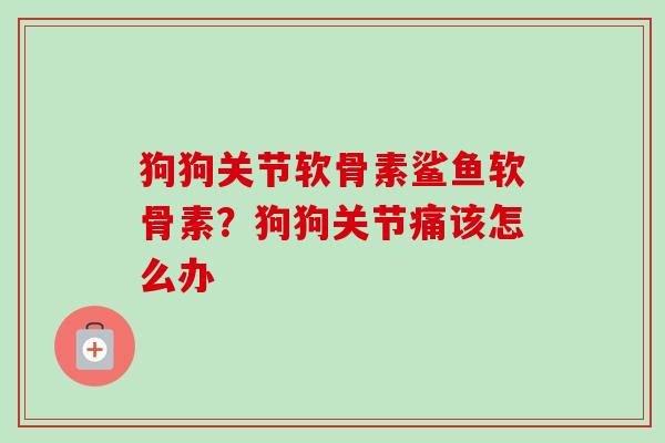 狗狗关节软骨素鲨鱼软骨素？狗狗关节痛该怎么办