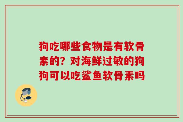 狗吃哪些食物是有软骨素的？对海鲜过敏的狗狗可以吃鲨鱼软骨素吗