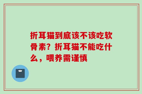 折耳猫到底该不该吃软骨素？折耳猫不能吃什么，喂养需谨慎