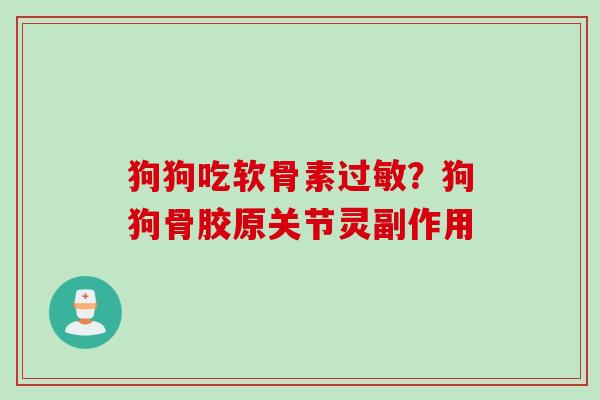 狗狗吃软骨素过敏？狗狗骨胶原关节灵副作用