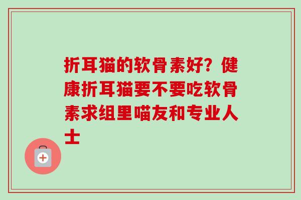 折耳猫的软骨素好？健康折耳猫要不要吃软骨素求组里喵友和专业人士