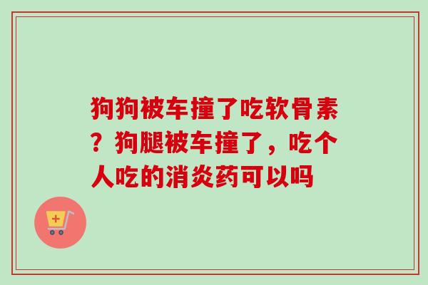 狗狗被车撞了吃软骨素？狗腿被车撞了，吃个人吃的消炎药可以吗