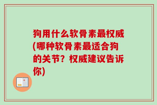 狗用什么软骨素最权威(哪种软骨素最适合狗的关节？权威建议告诉你)