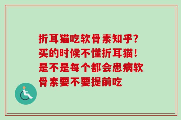 折耳猫吃软骨素知乎？买的时候不懂折耳猫！是不是每个都会患病软骨素要不要提前吃
