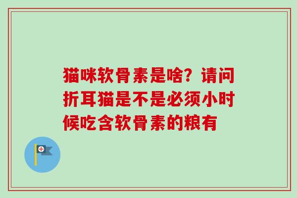猫咪软骨素是啥？请问折耳猫是不是必须小时候吃含软骨素的粮有