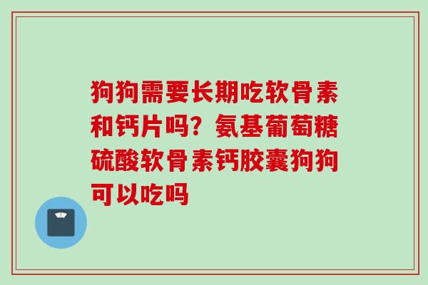 狗狗需要长期吃软骨素和钙片吗？氨基葡萄糖硫酸软骨素钙胶囊狗狗可以吃吗