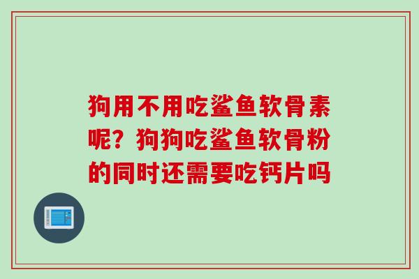 狗用不用吃鲨鱼软骨素呢？狗狗吃鲨鱼软骨粉的同时还需要吃钙片吗