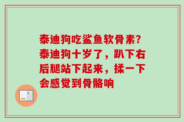 泰迪狗吃鲨鱼软骨素？泰迪狗十岁了，趴下右后腿站下起来，揉一下会感觉到骨骼响