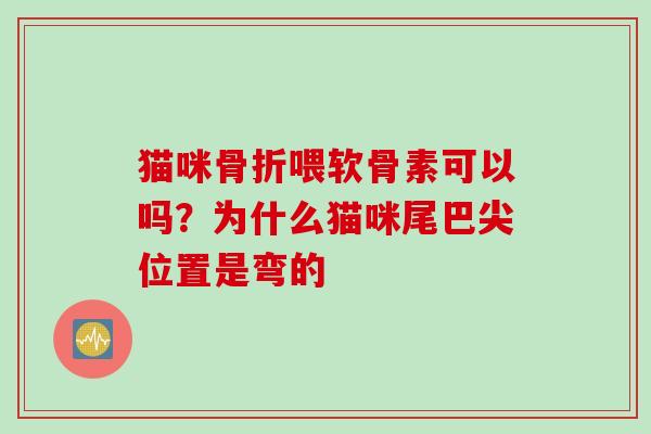 猫咪骨折喂软骨素可以吗？为什么猫咪尾巴尖位置是弯的