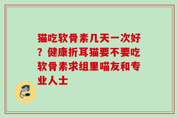 猫吃软骨素几天一次好？健康折耳猫要不要吃软骨素求组里喵友和专业人士