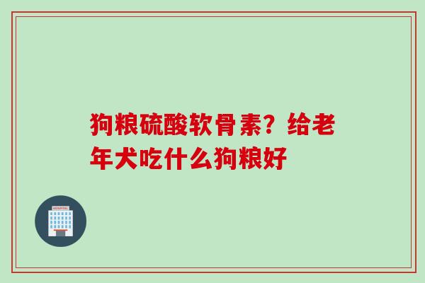 狗粮硫酸软骨素？给老年犬吃什么狗粮好