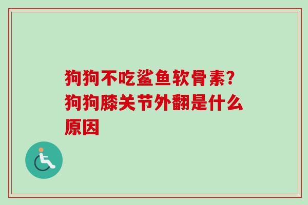 狗狗不吃鲨鱼软骨素？狗狗膝关节外翻是什么原因