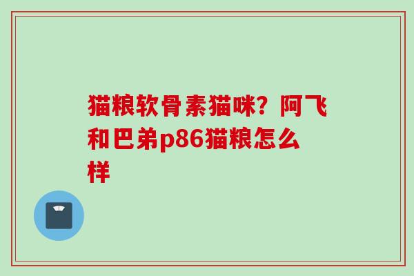猫粮软骨素猫咪？阿飞和巴弟p86猫粮怎么样