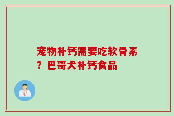 宠物补钙需要吃软骨素？巴哥犬补钙食品