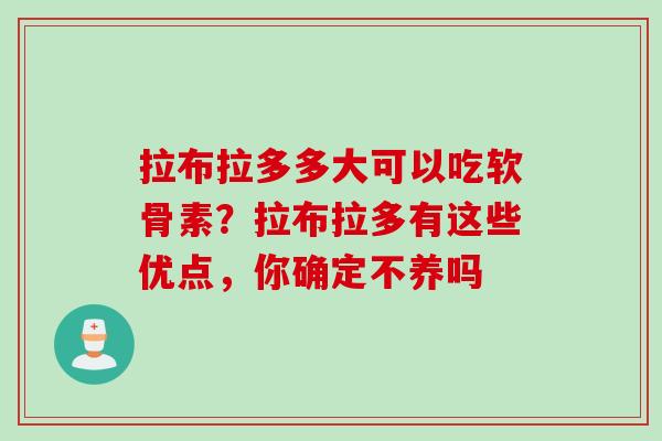 拉布拉多多大可以吃软骨素？拉布拉多有这些优点，你确定不养吗
