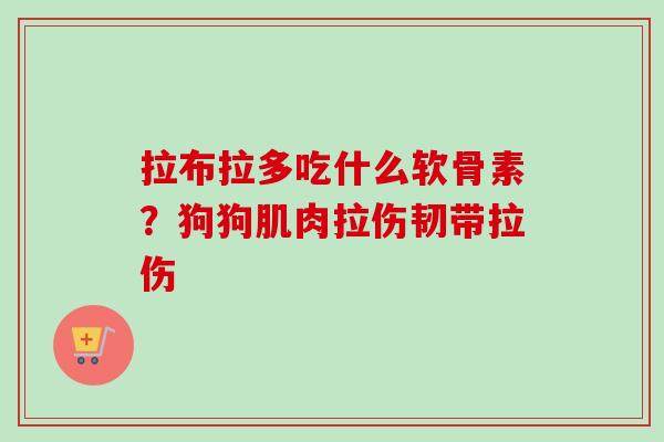 拉布拉多吃什么软骨素？狗狗肌肉拉伤韧带拉伤