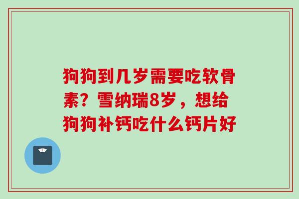 狗狗到几岁需要吃软骨素？雪纳瑞8岁，想给狗狗补钙吃什么钙片好