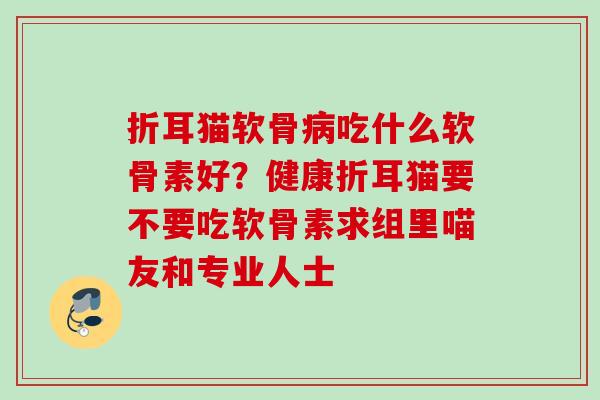 折耳猫软骨病吃什么软骨素好？健康折耳猫要不要吃软骨素求组里喵友和专业人士