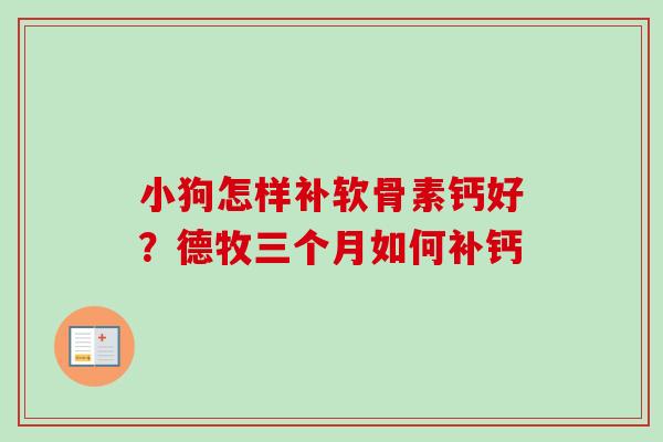 小狗怎样补软骨素钙好？德牧三个月如何补钙