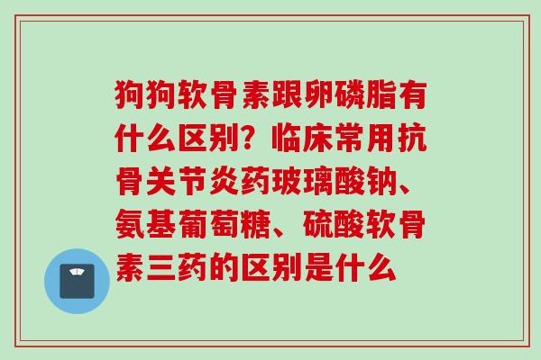 狗狗软骨素跟卵磷脂有什么区别？临床常用抗骨关节炎药玻璃酸钠、氨基葡萄糖、硫酸软骨素三药的区别是什么