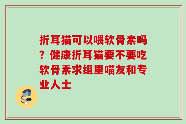 折耳猫可以喂软骨素吗？健康折耳猫要不要吃软骨素求组里喵友和专业人士