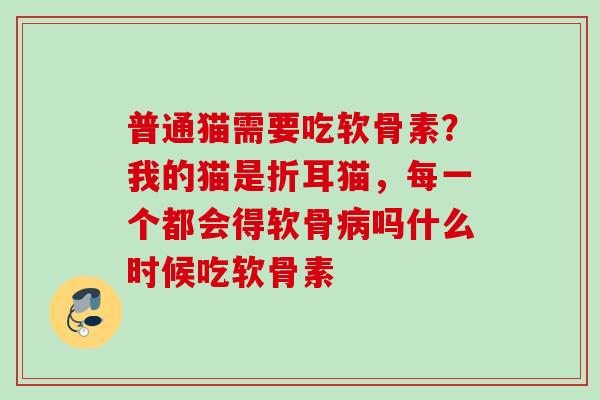 普通猫需要吃软骨素？我的猫是折耳猫，每一个都会得软骨病吗什么时候吃软骨素