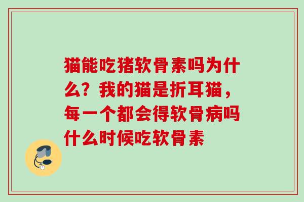 猫能吃猪软骨素吗为什么？我的猫是折耳猫，每一个都会得软骨病吗什么时候吃软骨素