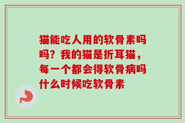 猫能吃人用的软骨素吗吗？我的猫是折耳猫，每一个都会得软骨病吗什么时候吃软骨素