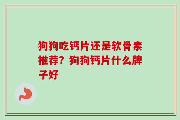 狗狗吃钙片还是软骨素推荐？狗狗钙片什么牌子好