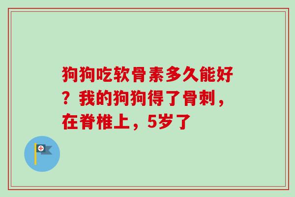 狗狗吃软骨素多久能好？我的狗狗得了骨刺，在脊椎上，5岁了