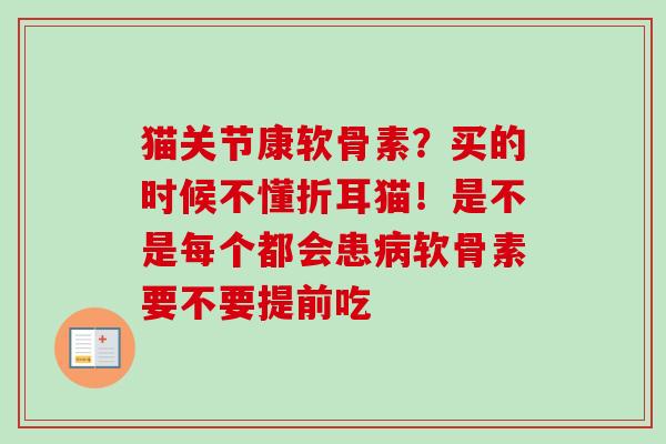 猫关节康软骨素？买的时候不懂折耳猫！是不是每个都会患病软骨素要不要提前吃