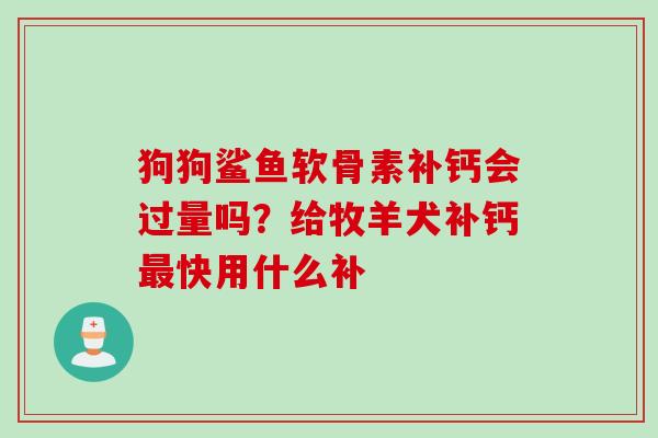 狗狗鲨鱼软骨素补钙会过量吗？给牧羊犬补钙最快用什么补