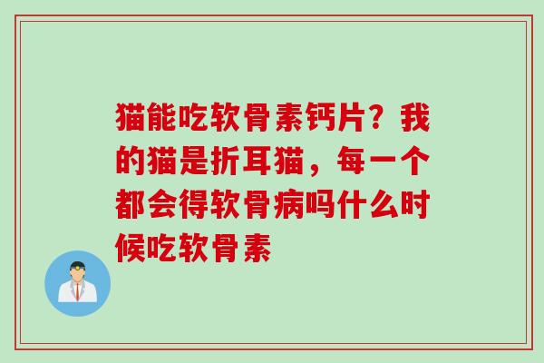 猫能吃软骨素钙片?我的猫是折耳猫,每一个都会得软骨吗什么时候吃软骨素 猫能吃软骨素钙片?我的猫是折耳猫,每一个都会得软骨吗什么时候吃软骨素