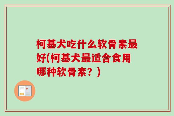 柯基犬吃什么软骨素最好(柯基犬最适合食用哪种软骨素？)