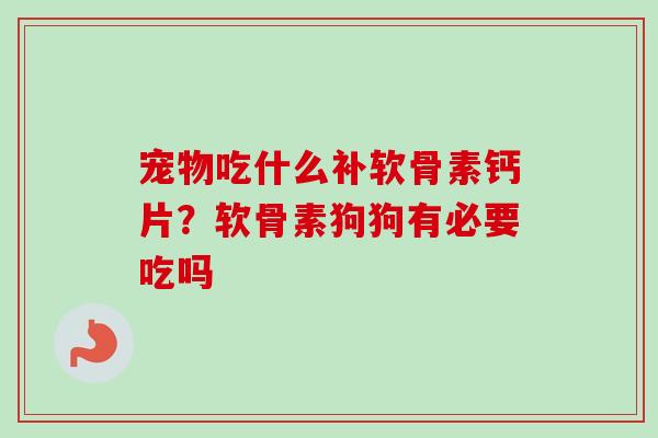 宠物吃什么补软骨素钙片？软骨素狗狗有必要吃吗