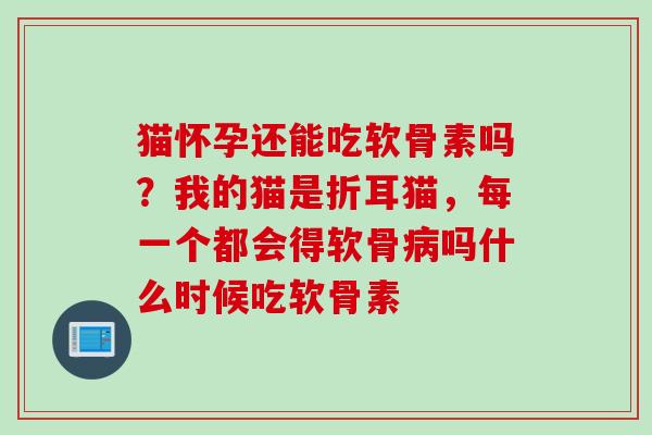 猫怀孕还能吃软骨素吗？我的猫是折耳猫，每一个都会得软骨病吗什么时候吃软骨素