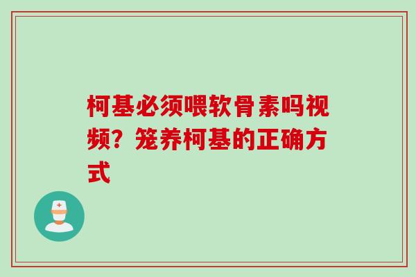柯基必须喂软骨素吗视频？笼养柯基的正确方式