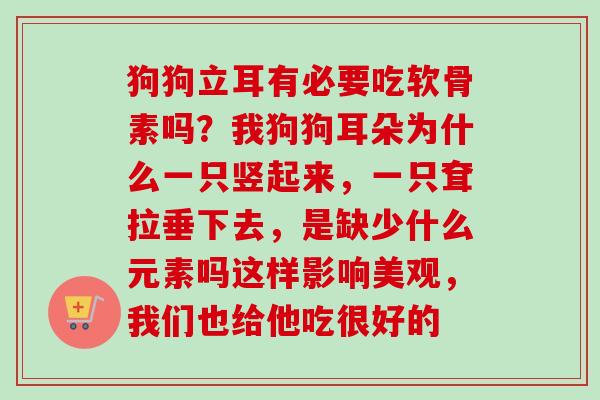 狗狗立耳有必要吃软骨素吗？我狗狗耳朵为什么一只竖起来，一只耷拉垂下去，是缺少什么元素吗这样影响美观，我们也给他吃很好的