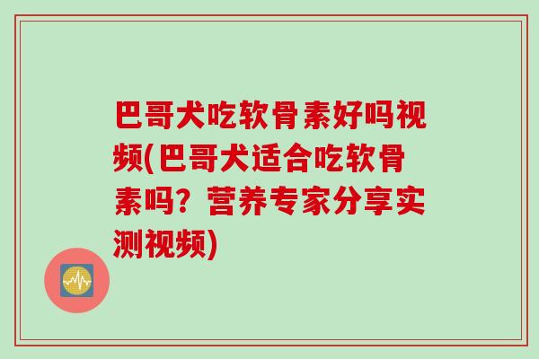 巴哥犬吃软骨素好吗视频(巴哥犬适合吃软骨素吗？营养专家分享实测视频)