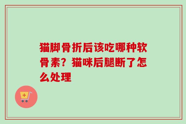 猫脚骨折后该吃哪种软骨素？猫咪后腿断了怎么处理