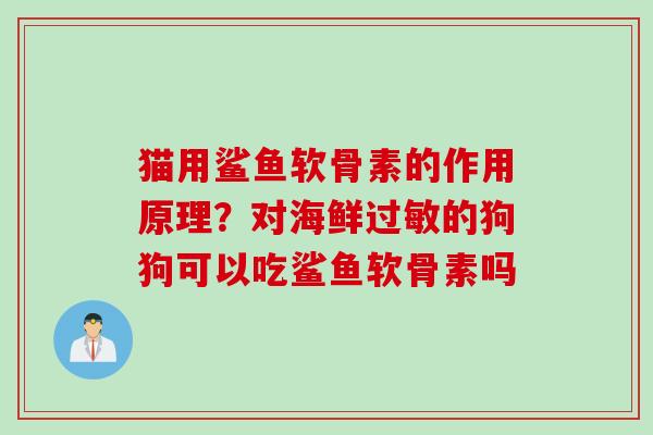 猫用鲨鱼软骨素的作用原理？对海鲜过敏的狗狗可以吃鲨鱼软骨素吗