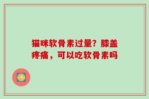 猫咪软骨素过量？膝盖疼痛，可以吃软骨素吗