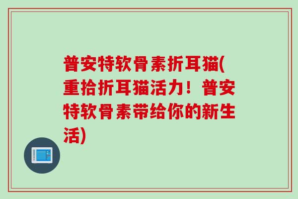 普安特软骨素折耳猫(重拾折耳猫活力！普安特软骨素带给你的新生活)